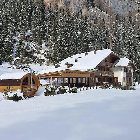 Maria 3* 卡纳泽伊